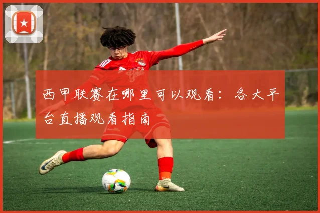 西甲联赛在哪里可以观看：各大平台直播观看指南